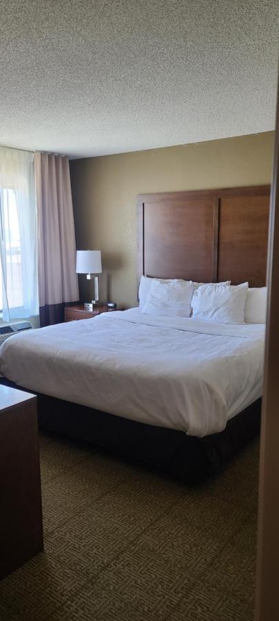 Comfort Inn Lexington Esterno foto